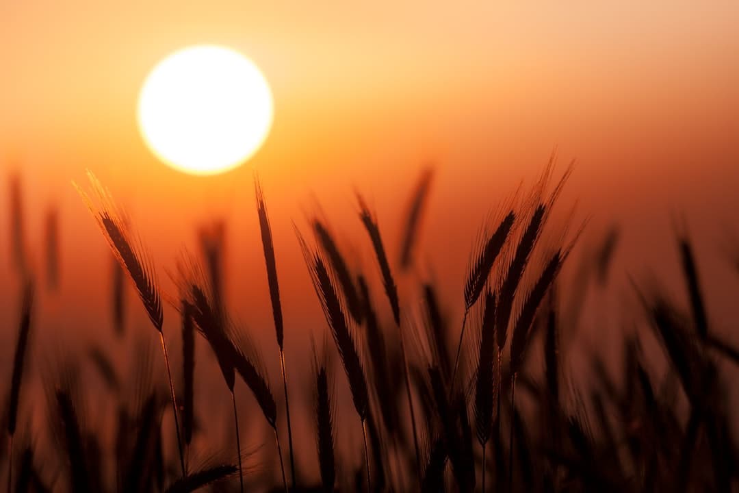 吉祥気教会祈りイメージ